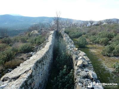 Chorranca, Moño Tía Andréa; rutas por las hoces del duraton parque natural de madrid cuenca sende